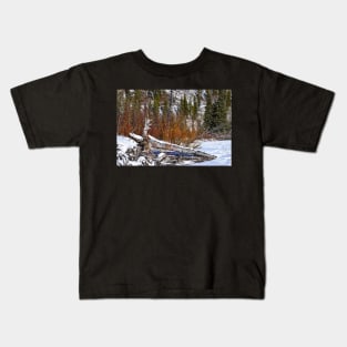 Fire Bush Kids T-Shirt